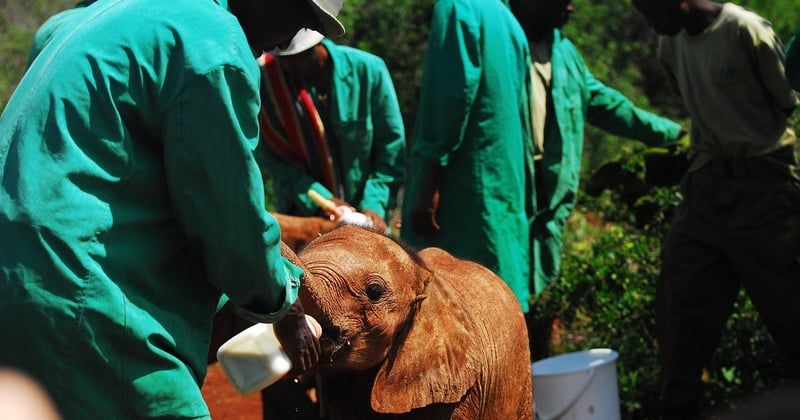 Comment choisir le bon lait infantile pour mon bébé sans se tromper